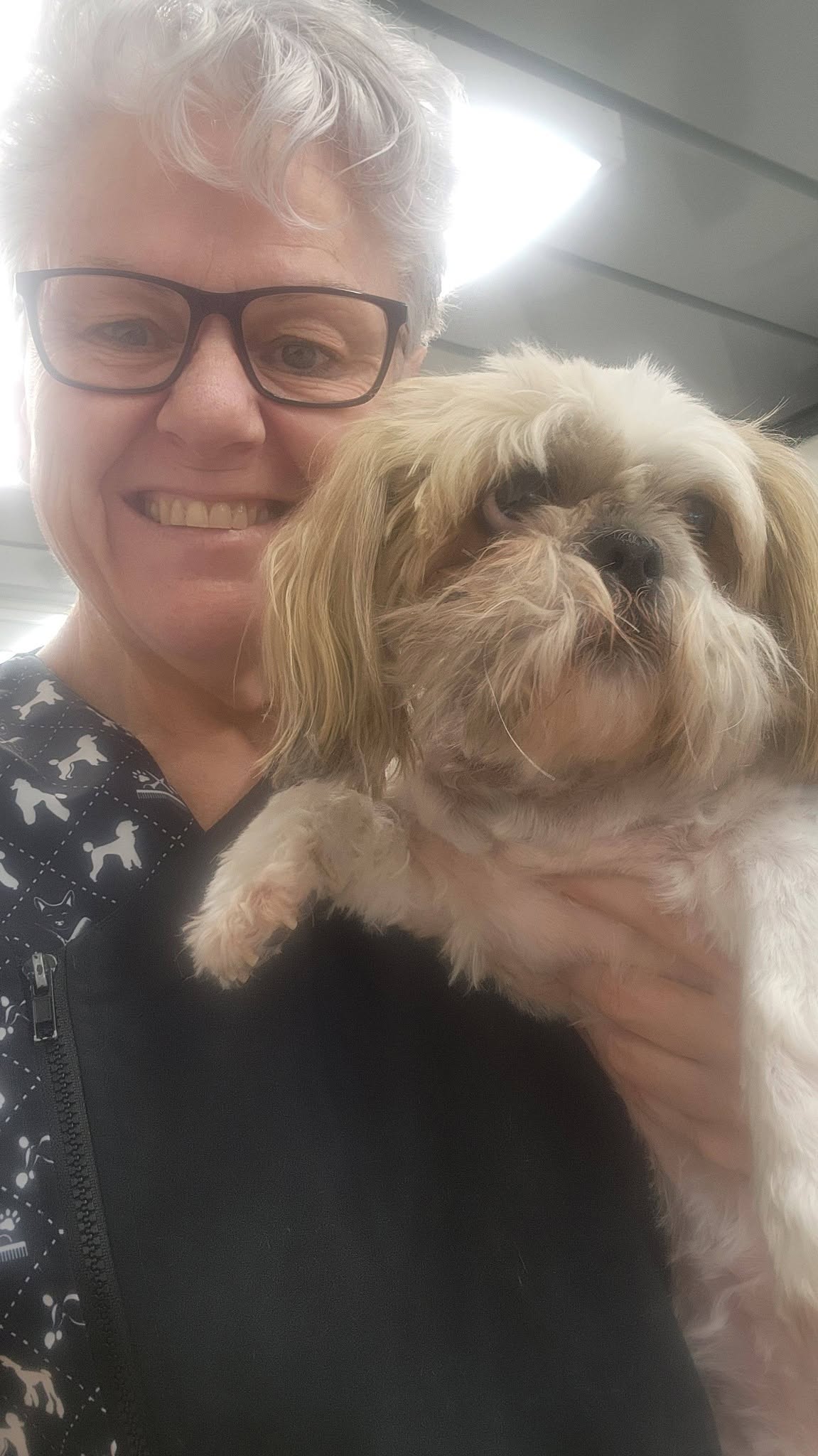 Megan Baker, owner and groomer of Megipaws Dog Grooming, cuddling a shih tzu client in her Parklands salon