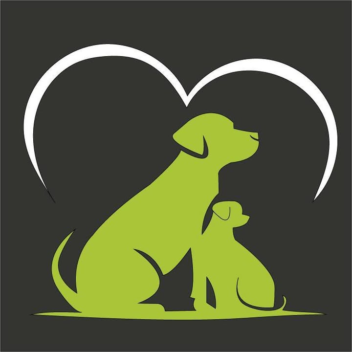 Megipaws Dog Grooming
